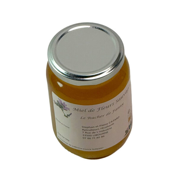 Miel de fleurs sauvages, le pot de 500G