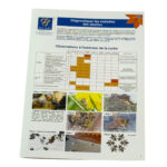 Image du produit suivant