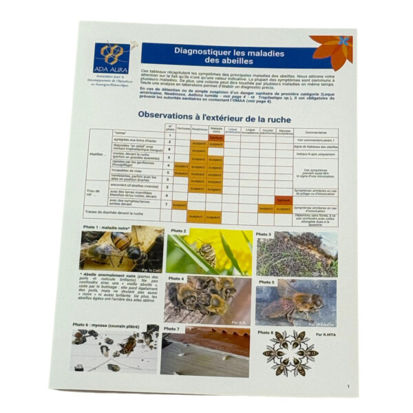 Fascicule "DIAGNOSTIQUER LES MALADIES DES ABEILLES" (ADAA)