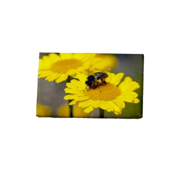 Magnet "abeille sur fleur" 53*78mm