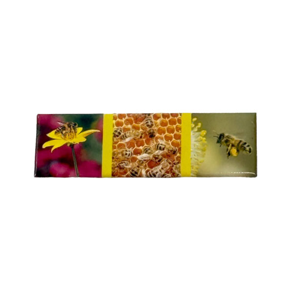 Magnet panoramique 3 photos abeiles 115*37mm