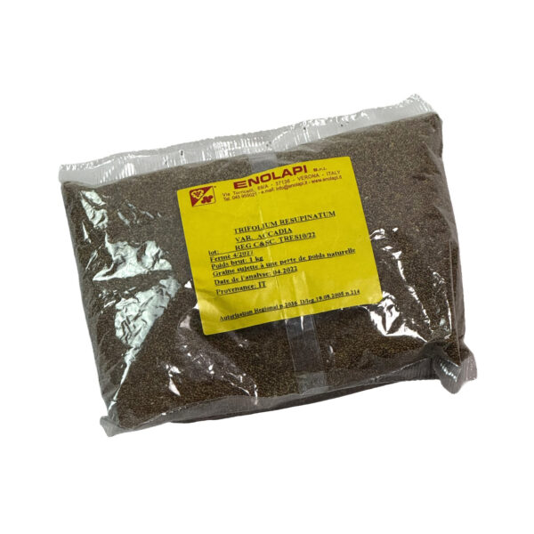 Graines de trèfle, le sac de 1 kg